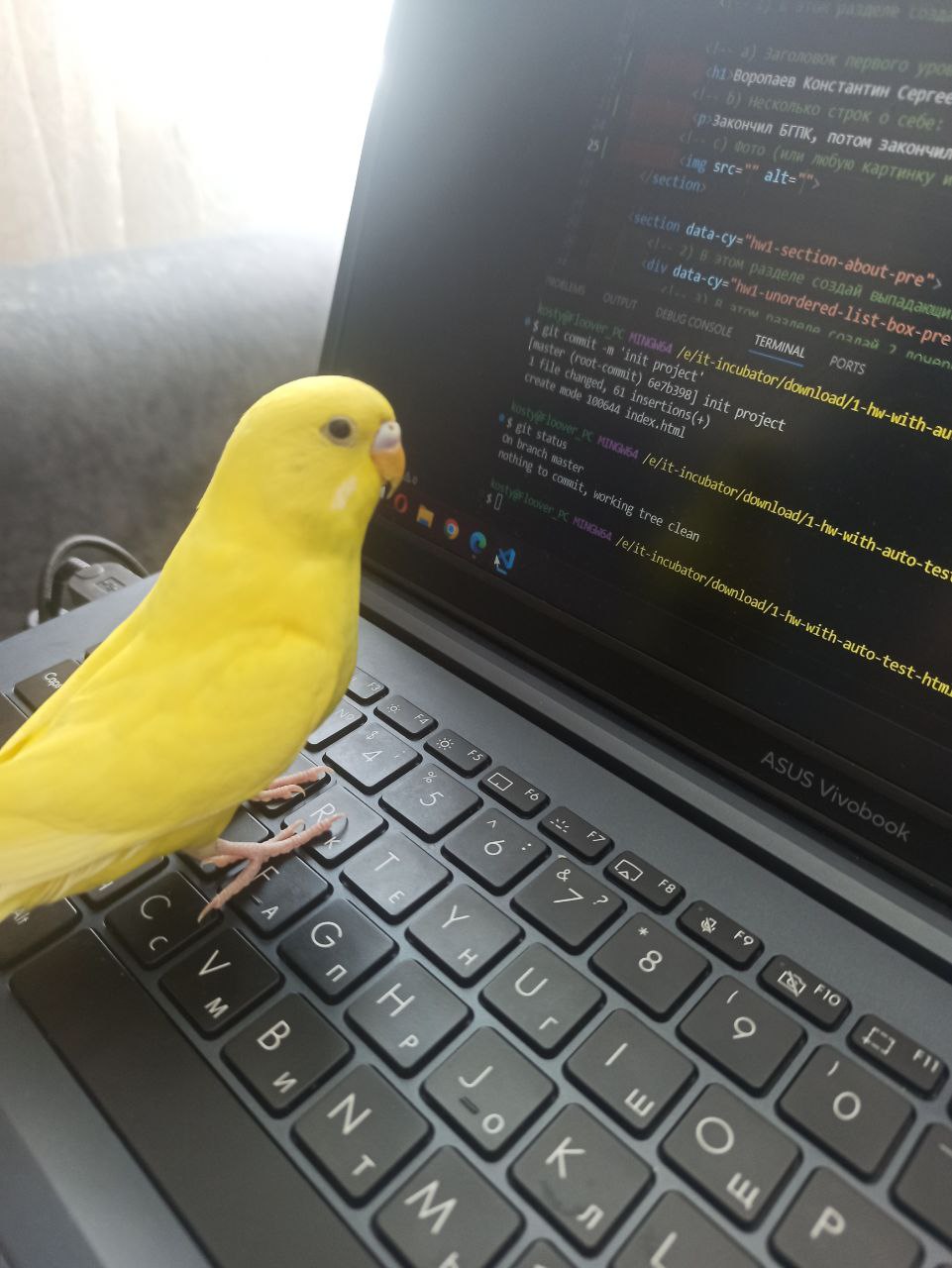 photo_my_parrot